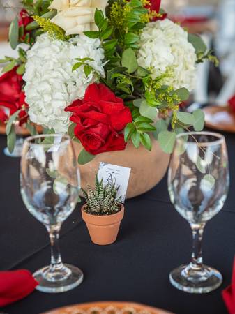 Mobile Photographer/Videographer services - creative services