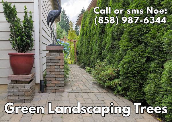 🔷PARRA Landscaping, Gardening, Concrete, Trees, Maintenance, more.🔷 - farm &amp; garden services