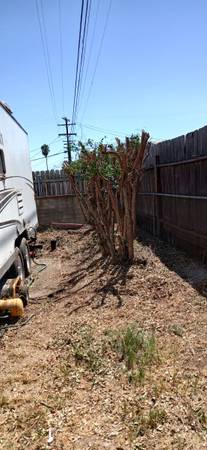 TREE 🌳 PALM 🌴 TRIMING CLEAN UPS🍂YARD MAINTENANCE🌿CALLME 📞FREE EST - farm &amp; garden services