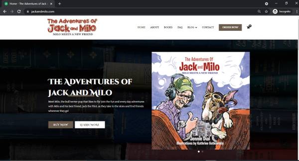 Professional WordPress Web Developer/Web3/PHP w/SEO Keywords $100+ - computer services picture