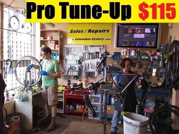Tune Up Special - $115 - Bike / eBike - cycle services