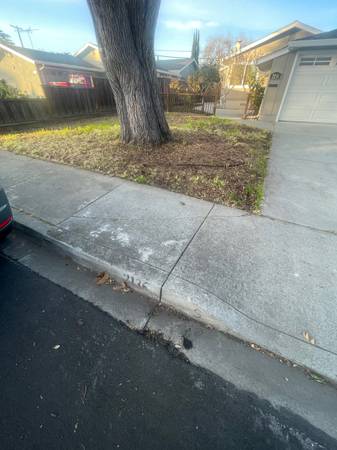 TREE &amp;STUMP GRINDING &amp;STUMP REMOVAL SERVICE - farm &amp; garden services