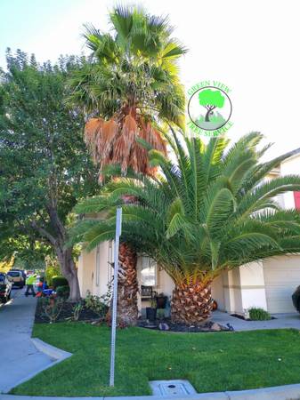 Green View Tree Service - farm &amp; garden services