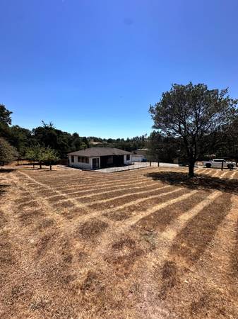 HIGH WEED MOWING &amp; LOT CLEARING - FAST &amp; AFFORDABLE - farm &amp; garden services
