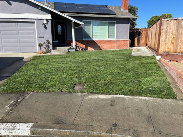 Yards Clean Up 🇺🇸Fence,🚛Junk Removal🚚Demolition let’s do it now - farm &amp; garden services