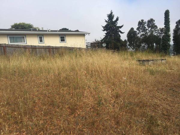 Weed Abatement, Yard work. Tree service. Fire Prevention. Insured - farm &amp; garden services