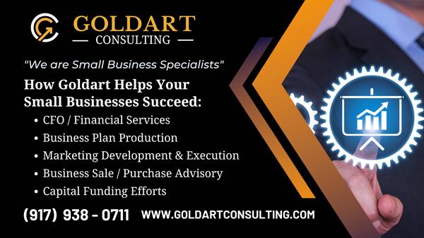 BUSINESS PLAN EXPERT / VIRTUAL CFO (part-time) - financial services