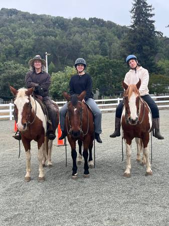 Horsetime for women and girls. Horses for Peace! - lessons &amp; tutoring