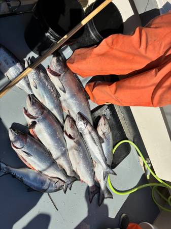 Fisherman seeks boat owner for salmon trolling - marine services