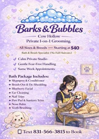 Affordable Dog Grooming - pet services: dog walking, sitting, boarding &amp; training