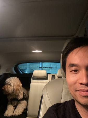 Reliable Dog &amp; Cat Sitting - Peninsula Area - pet services: dog walking, sitting, boarding &amp; training