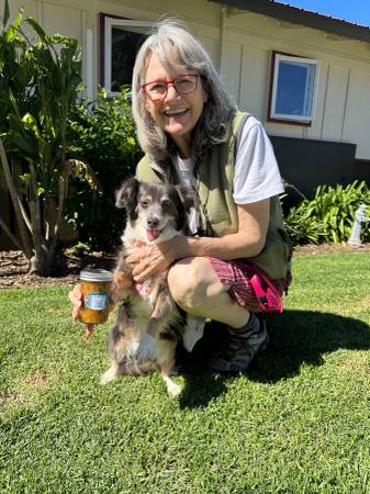 FREE experienced Sitter August - Mtn View, Los A, Sunnyvale, PA, etc. - pet services: dog walking, sitting, boarding &amp;...
