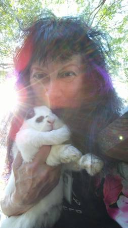 Bunny Rabbit Groomer - pet services: dog walking, sitting, boarding &amp; training
