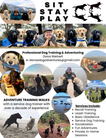 SIT. STAY. PLAY! - Adventure Dog Training - pet services: dog walking, sitting, boarding &amp; training