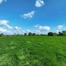 Kilskyre  Kells  Agricultural Land
