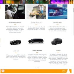 Collaborative Approach to Web Development | Web Design Services +1(917) 651-8495 picture