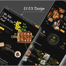 Website Analytics and Optimization Services | Web Design Services +1(917) 651-8495 picture