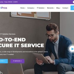 Secure Web Hosting and Development | Web Design Services (917) 651-8495 (SHOW LOW) picture