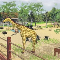 Zoo Animal Exhibit Design Consultant Services