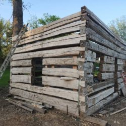 Log home restoration service (Kasota)