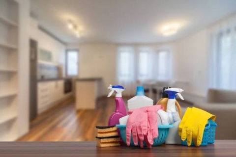 Spotless Residential &amp; Move-Out Cleaning | Apex Sparkle Co. Winnipeg